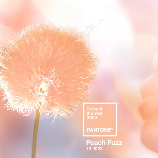 Pantone Color of the Year 2024, Peach Fuzz, courtesy, Pantone.
