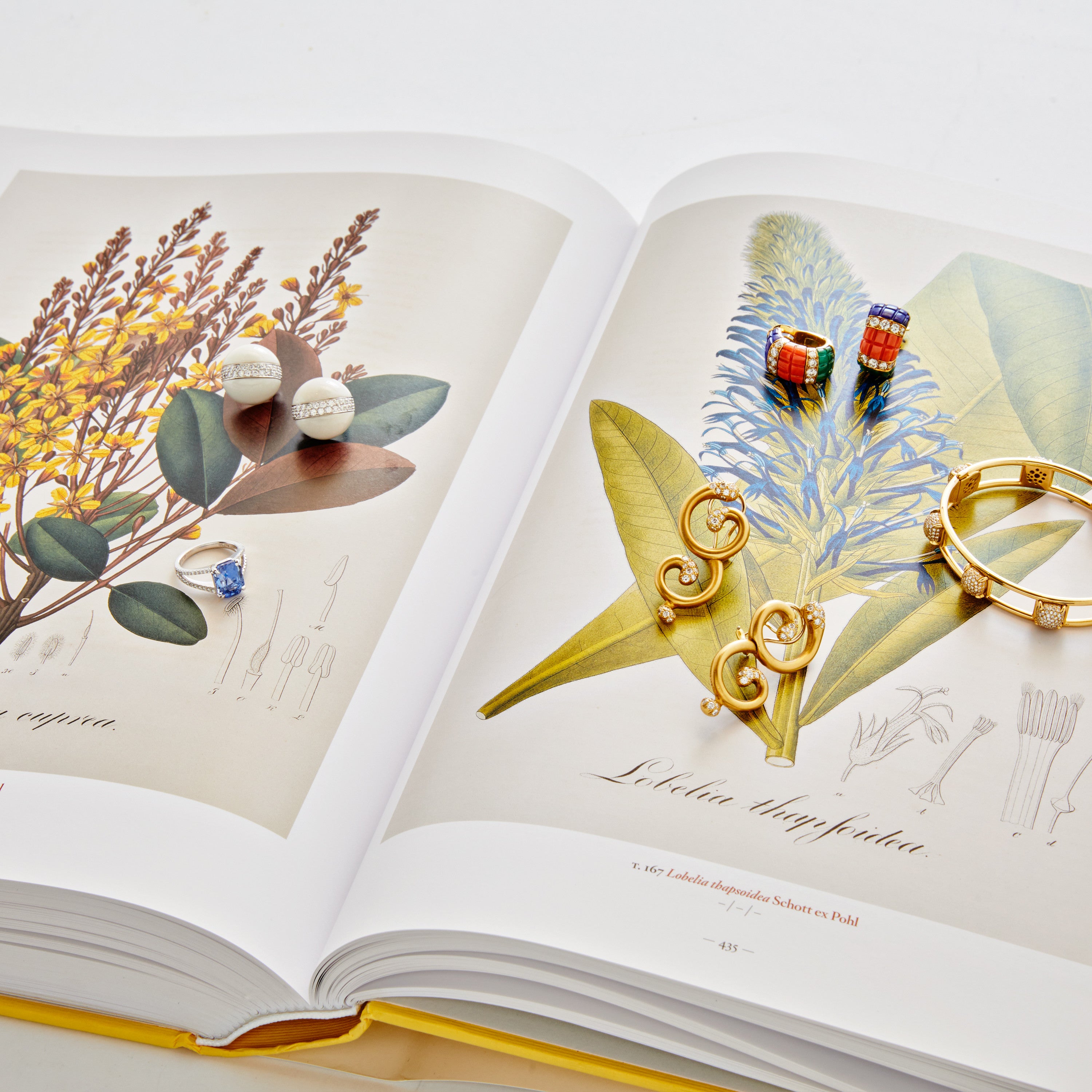 Van Cleef & Arpels アートブック 1980s Van Cleef & Arpels Yellow Gold Coral Lapis Earrings