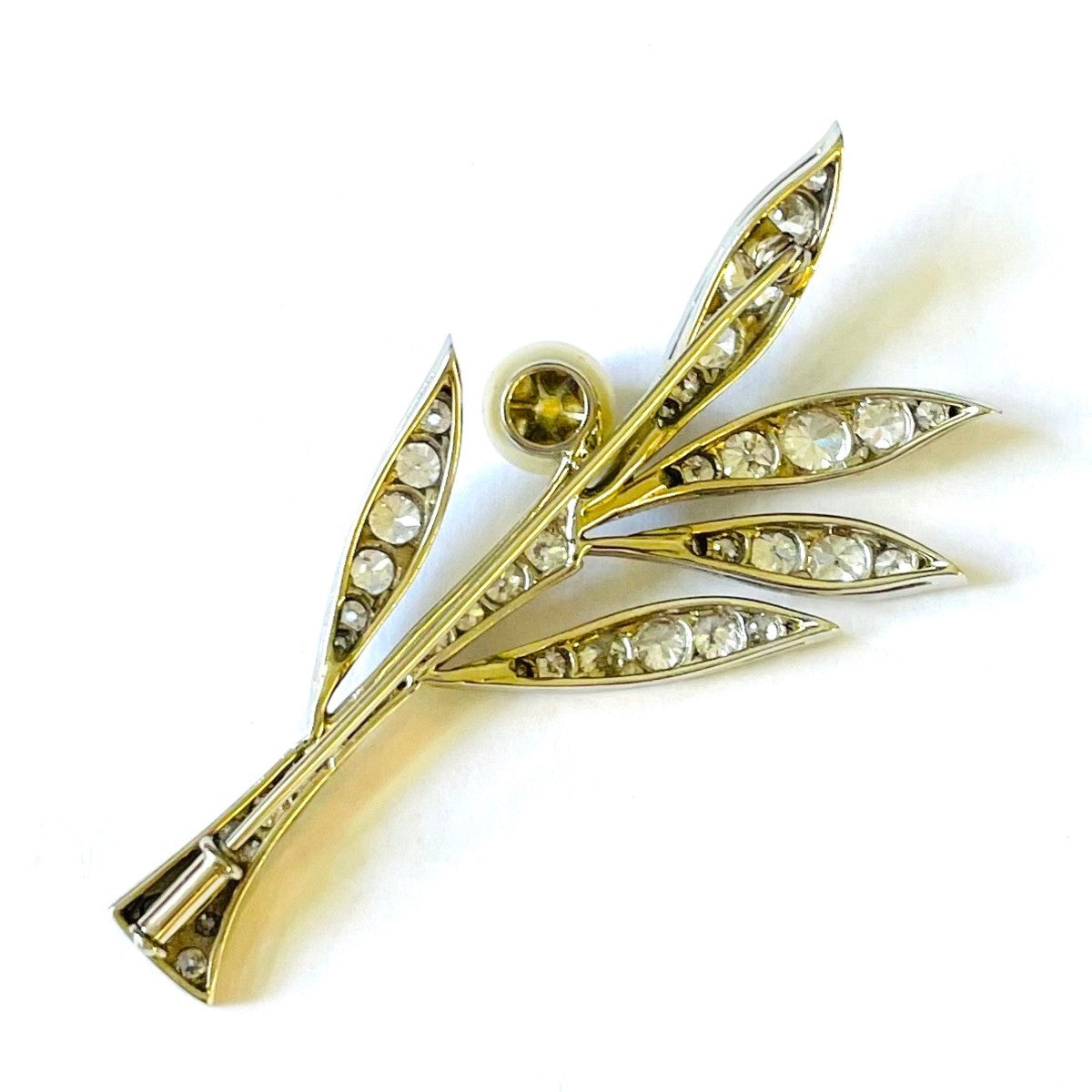 1930s Platinum Diamond & Natural Pearl Olive Branch Brooch back