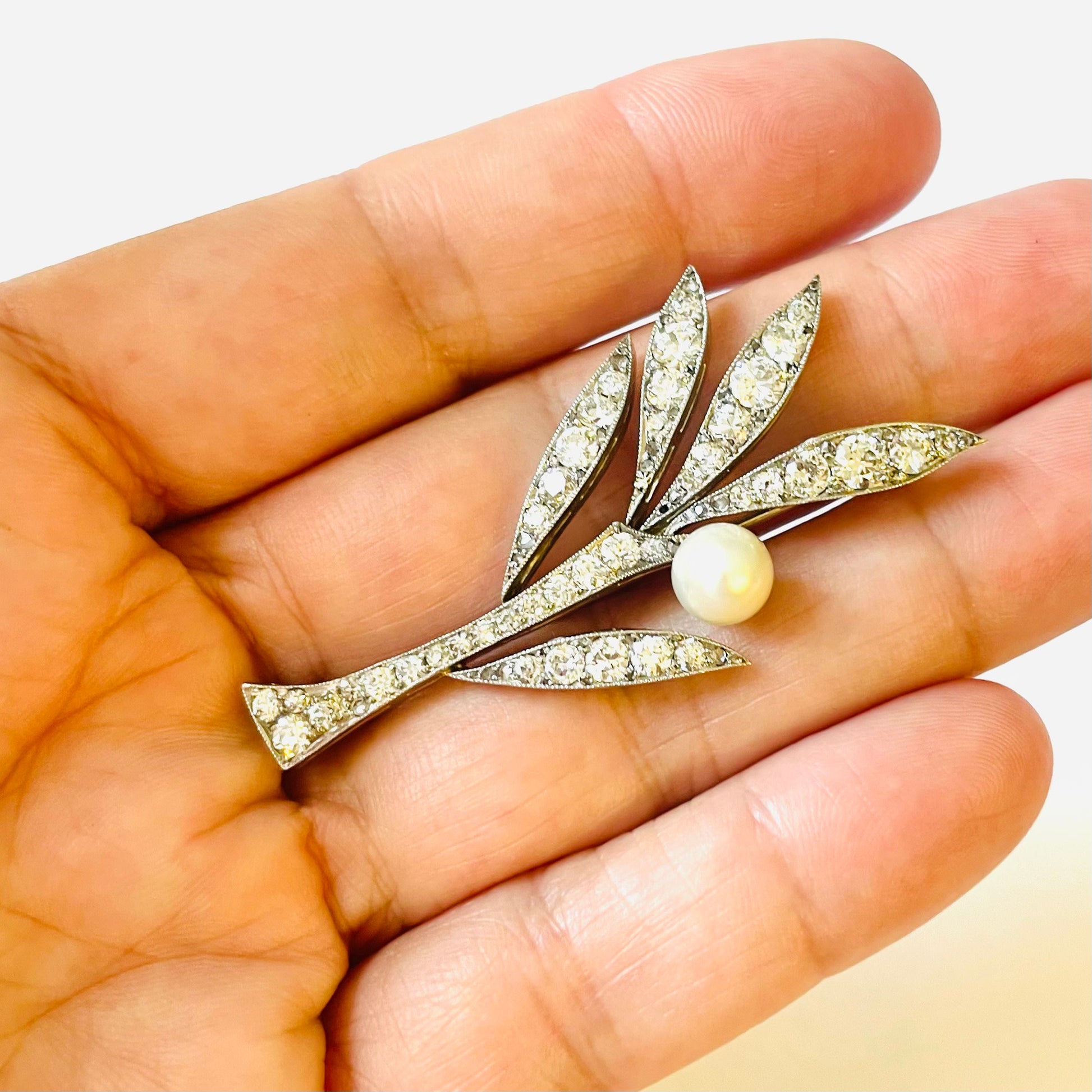 1930s Platinum Diamond & Natural Pearl Olive Branch Brooch in hand