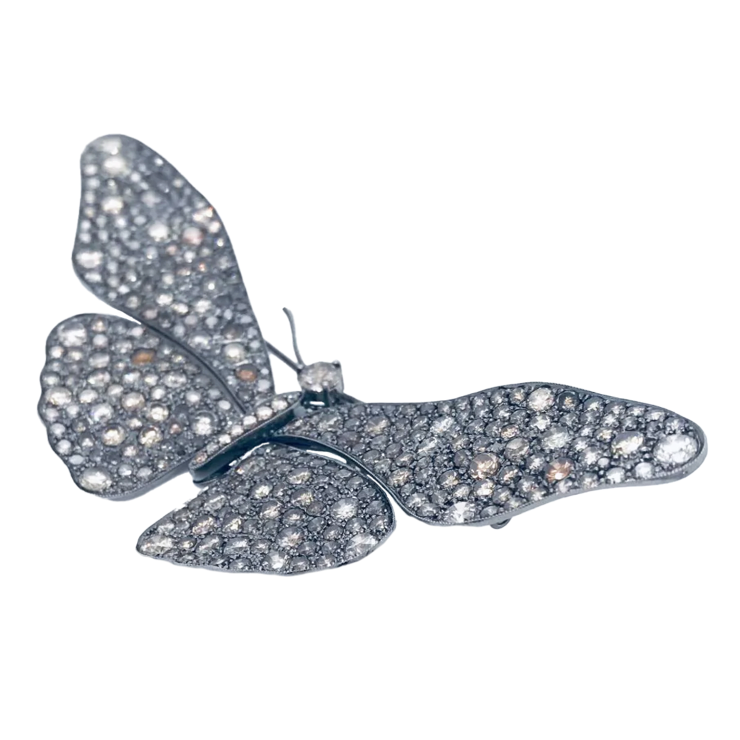 Post-1980s 18KT Blackened Gold Fancy Colored Diamond Butterfly Brooch front