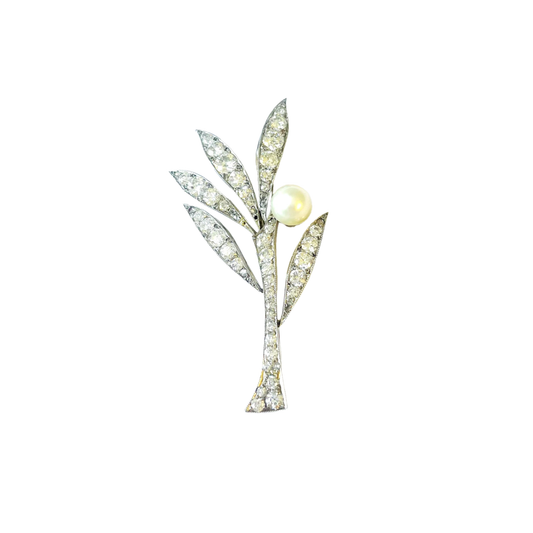 1930s Platinum Diamond & Natural Pearl Olive Branch Brooch front