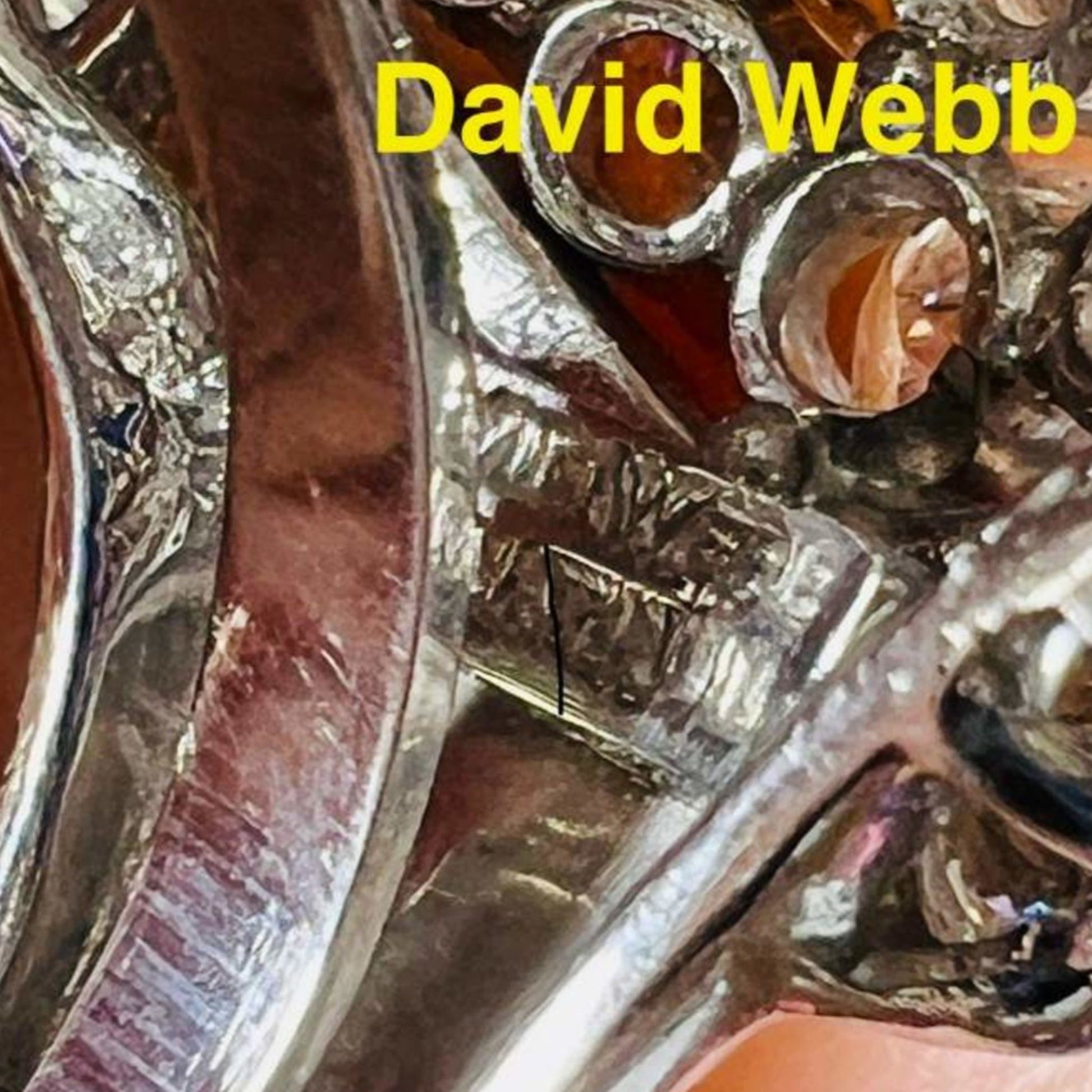 David Webb 1980s Platinum Diamond Ring signature