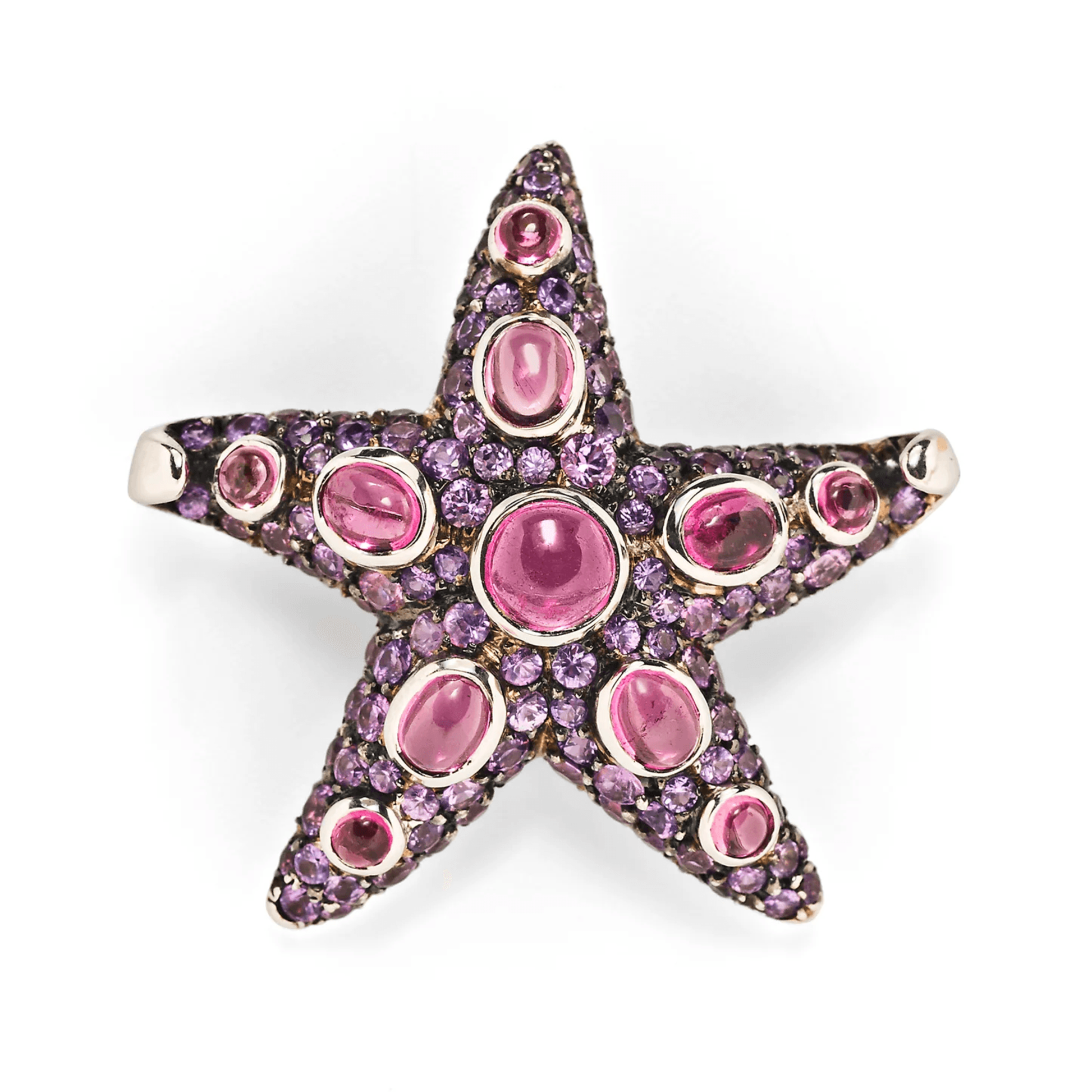 Rene Boivin Post-1980s 18KT White & Blackened Gold Tourmaline & Sapphire Starfish Brooches front