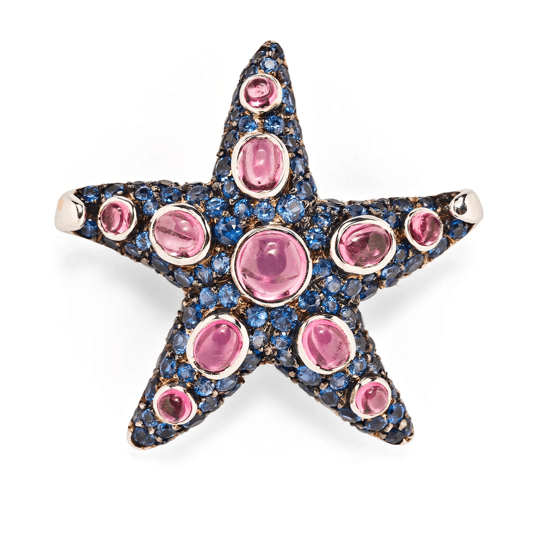 Rene Boivin Post-1980s 18KT White & Blackened Gold Tourmaline & Sapphire Starfish Brooches front