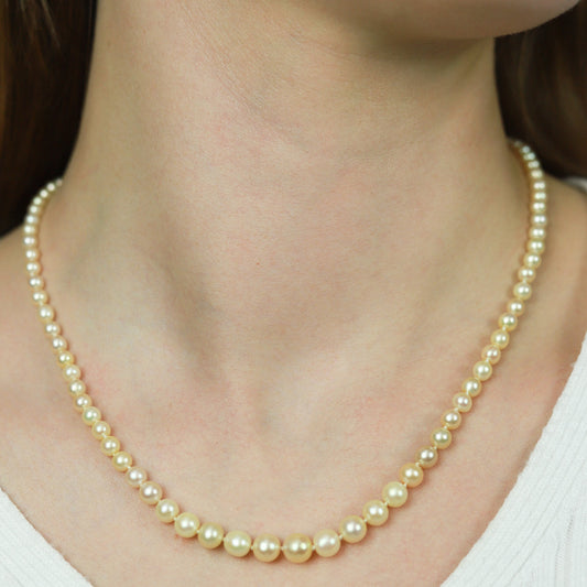 Edwardian Platinum Natural Pearl & Diamond Necklace on neck