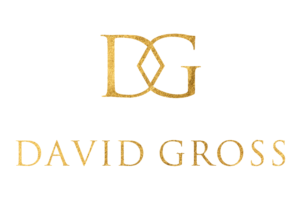 David Gross Group logo
